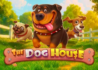 คาสิโนออนไลน์เว็บตรง The Dog House ทดลองเล่นฟรี